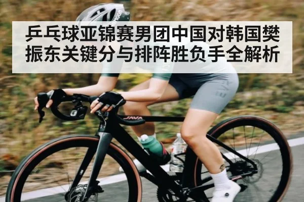 乒乓球亚锦赛男团中国对韩国樊振东关键分与排阵胜负手全解析 | c7