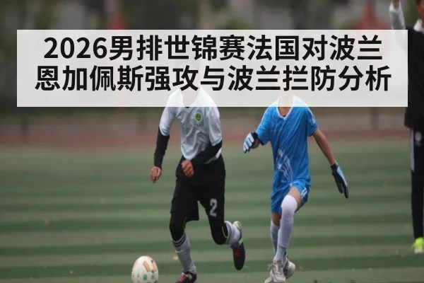 2026男排世锦赛法国对波兰 恩加佩斯强攻与波兰拦防分析 | c7